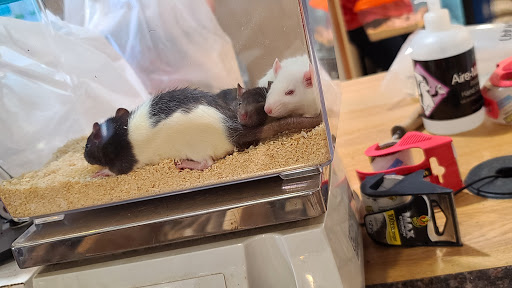 Pet Store «Miles of Exotics», reviews and photos, 8350 N Broadway, Kansas City, MO 64118, USA