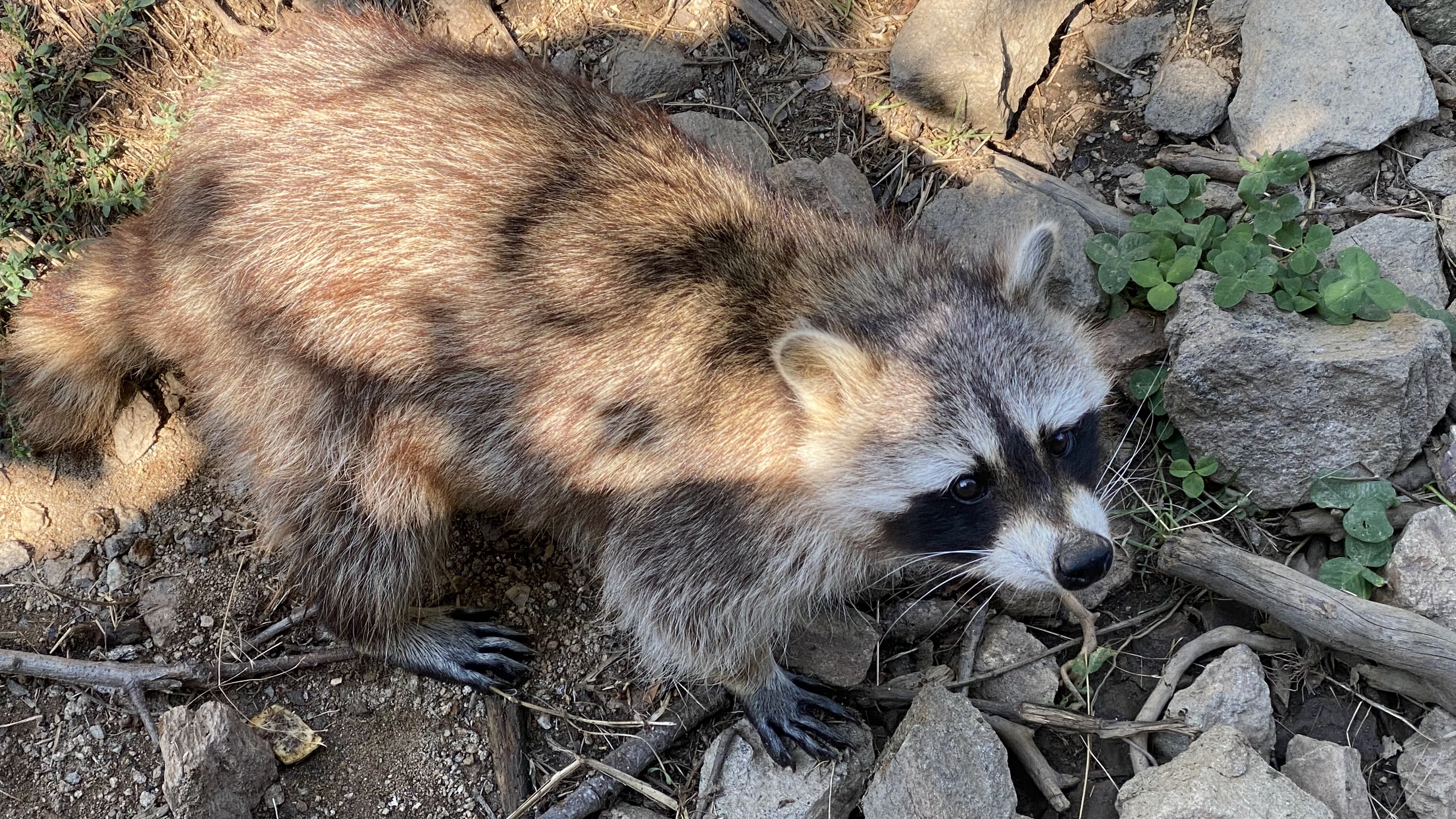 Photo n° 24 de l'avis de Olivier.e fait le 06/08/2022 à 17:29