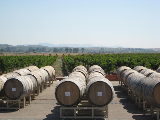 Winery «Larson Family Winery», reviews and photos, 23355 Millerick Rd, Sonoma, CA 95476, USA