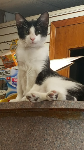 Car Wash «Minit-Man Car Wash», reviews and photos, 6926 Harrisburg Blvd, Houston, TX 77011, USA