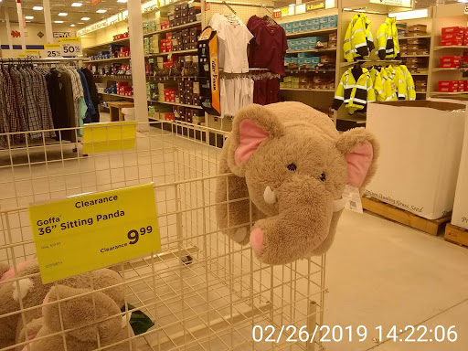 Department Store «Mills Fleet Farm», reviews and photos, 1935 Levi Griffin Rd, Carver, MN 55315, USA