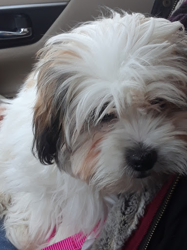 Pet Supply Store «PetSmart», reviews and photos, 2 Brick Plaza, Brick, NJ 08723, USA