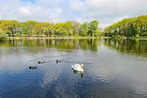 Paul's Pond image