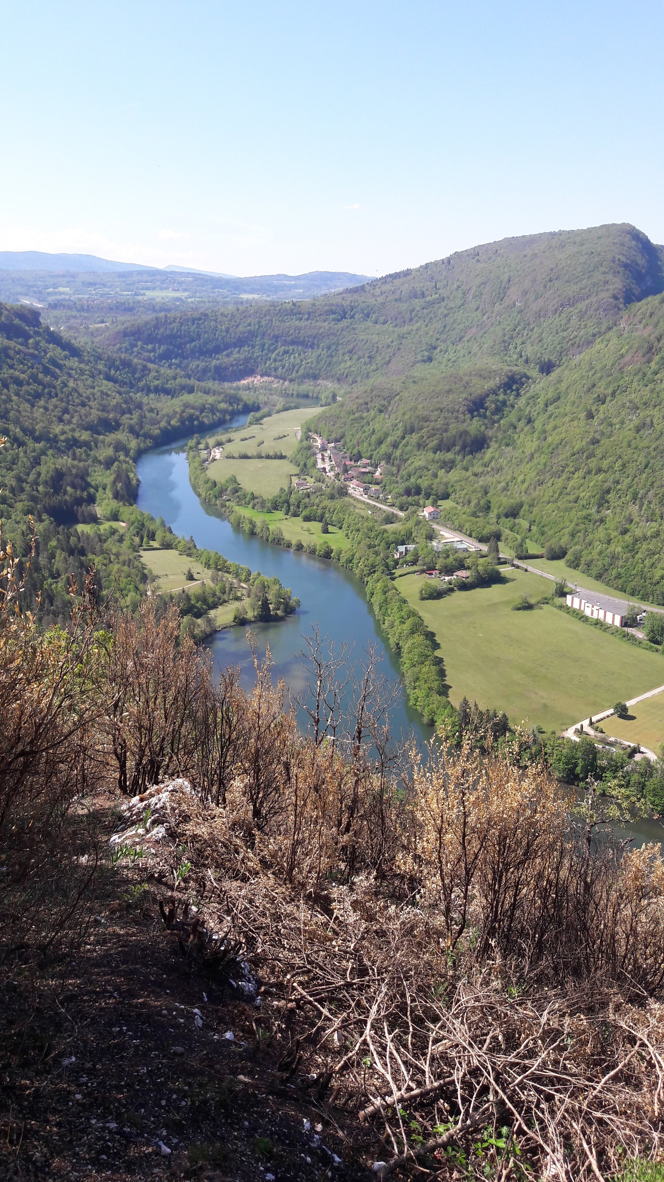Photo n° 2 de l'avis de Mapy42. fait le 09/06/2019 à 06:50