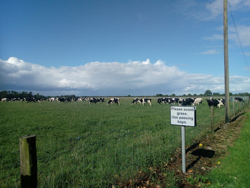 UCD Lyons Farm