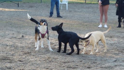 Park «Southside Park», reviews and photos, Southside Park Loop, Beaufort, SC 29902, USA