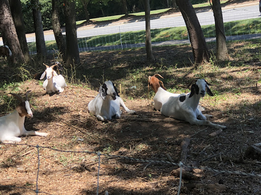 Wedding Venue «Jolie An Event Venue», reviews and photos, 5240 Panola Industrial Blvd, Decatur, GA 30035, USA