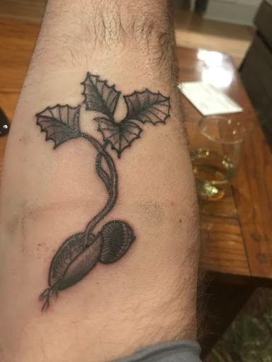 Tattoo Shop «Bloodeagle Tattoo Studio», reviews and photos, 406 S Craig St, Pittsburgh, PA 15213, USA