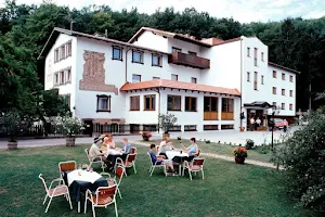 Hotel Pension Waldhof image
