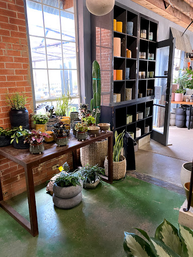 redenta's garden shop