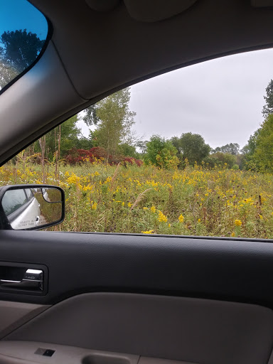 Nature Preserve «Elgin Shores Forest Preserve», reviews and photos, 772 S State St, Elgin, IL 60123, USA