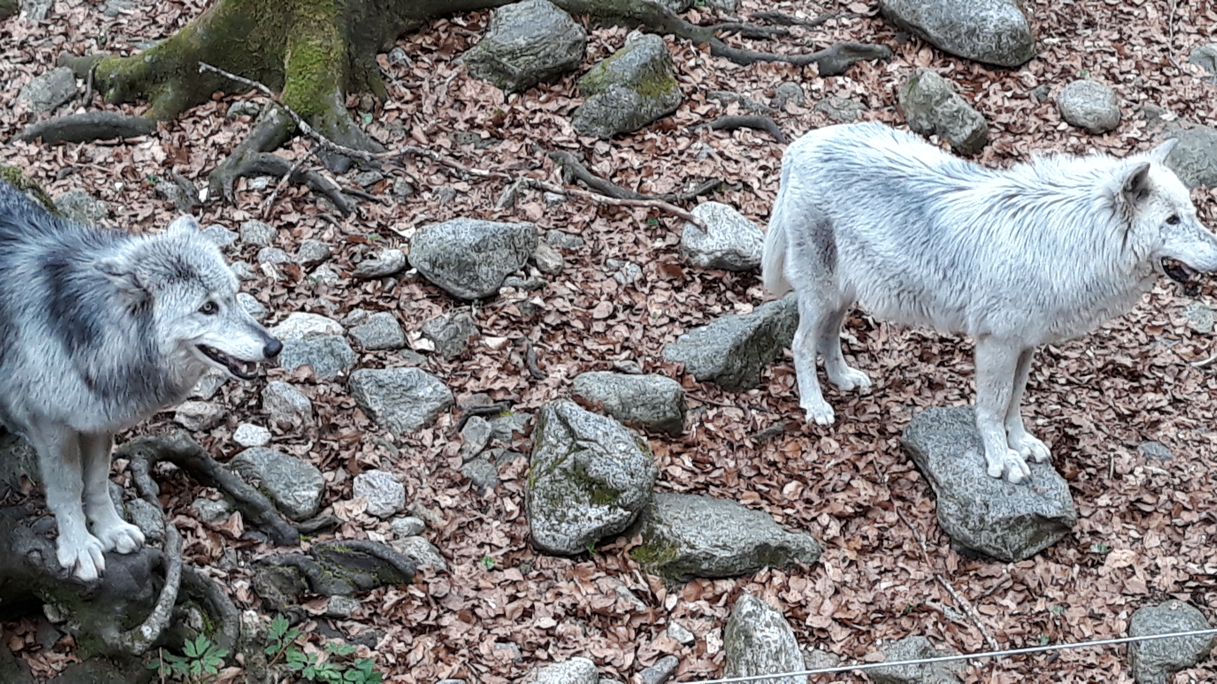 Photo n° 7 de l'avis de Anne.a fait le 24/04/2019 à 15:11
