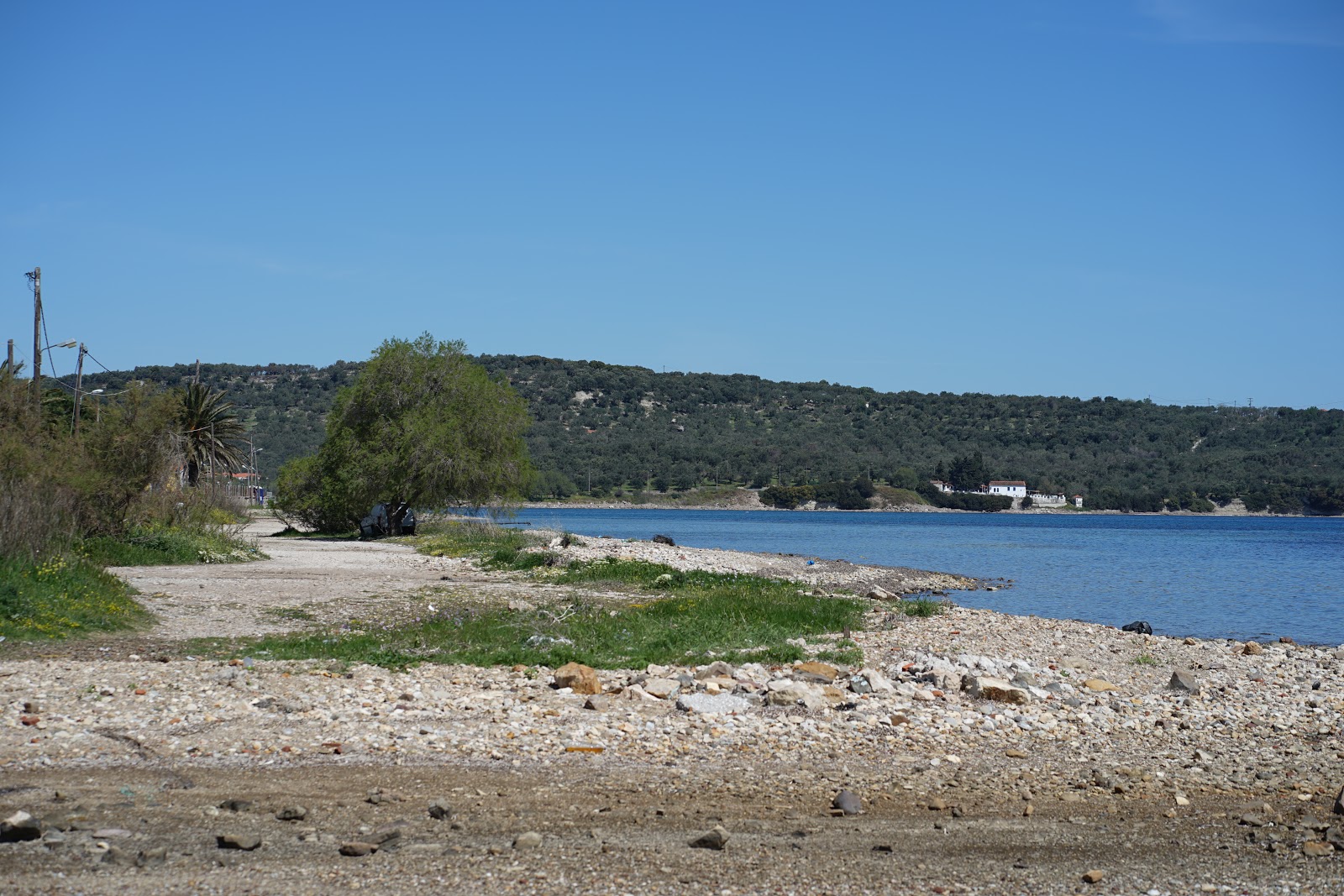 Φωτογραφία του Palm forest με καθαρό μπλε νερό επιφάνεια