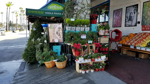 Shopping Mall «Redondo Shores Shopping Center», reviews and photos, 417 Pacific Coast Hwy, Redondo Beach, CA 90277, USA