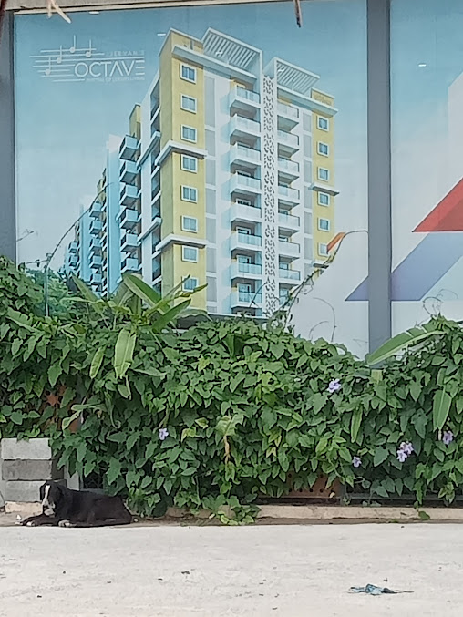 Google Maps image 15