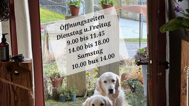 Rezensionen über Blumenatelier Mohn in Zürich - Blumengeschäft