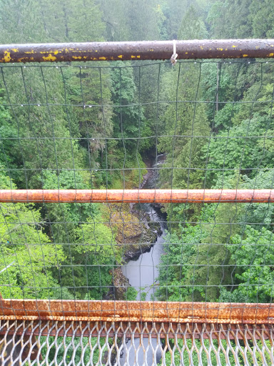 Tourist Attraction «ZiplineX Zip Line Tours», reviews and photos, 32016 NE Healy Rd, Amboy, WA 98601, USA