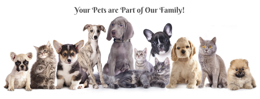 1724 Massachusetts Ave, Cambridge, MA 02138, USA