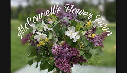 McConnell’s Flower Farm