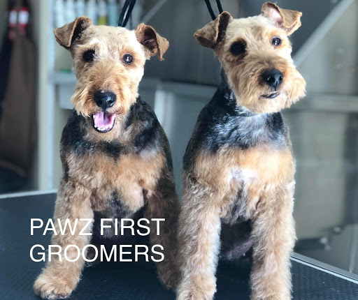 Pawz First | Dog Groomers | Quinns Rocks