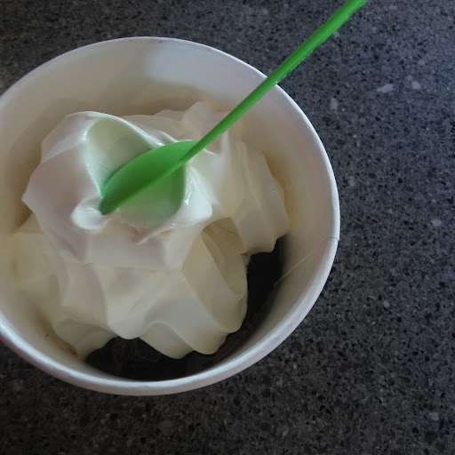 Frozen Yogurt Shop «The Pump House Frozen Yogurt Bar - Grand Rapids», reviews and photos, 2090 Celebration Dr NE #120, Grand Rapids, MI 49525, USA