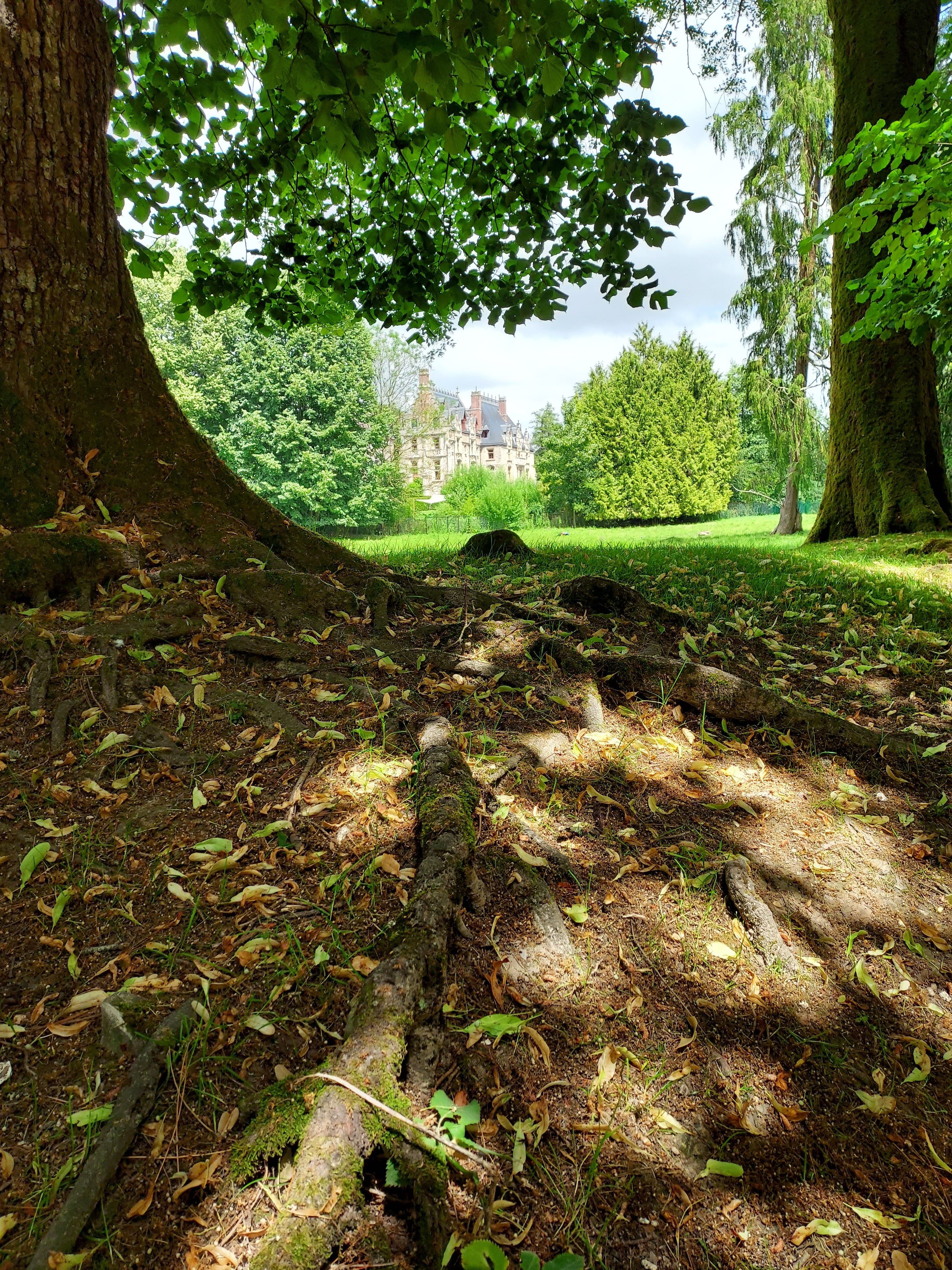 Photo n° 5 de l'avis de Marie-Claire.o fait le 03/07/2023 à 19:37