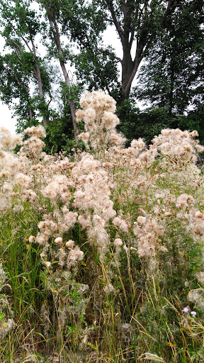 Nature Preserve «Times Beach Nature Preserve», reviews and photos, Coast Guard Station S Rd, Buffalo, NY 14203, USA