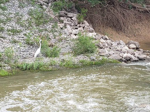 Park «Bob Findlay Linear Park», reviews and photos, 900 Findlay Dr, Arlington, TX 76012, USA