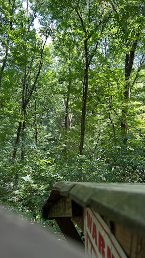 Tourist Attraction «Adventureworks Zipline Forest», reviews and photos, 4129 Whites Creek Pike, Whites Creek, TN 37189, USA