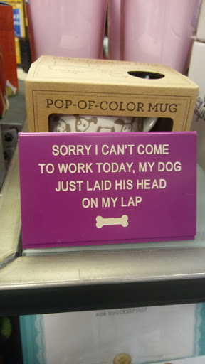 Book Store «Books-A-Million», reviews and photos, 6751 Strip Ave NW, North Canton, OH 44720, USA