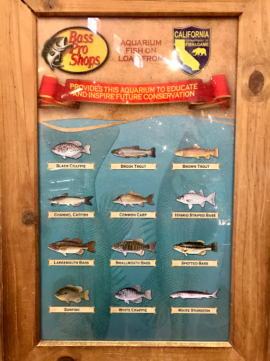 Sporting Goods Store «Bass Pro Shops», reviews and photos, 1356 Bass Pro Dr, Manteca, CA 95337, USA