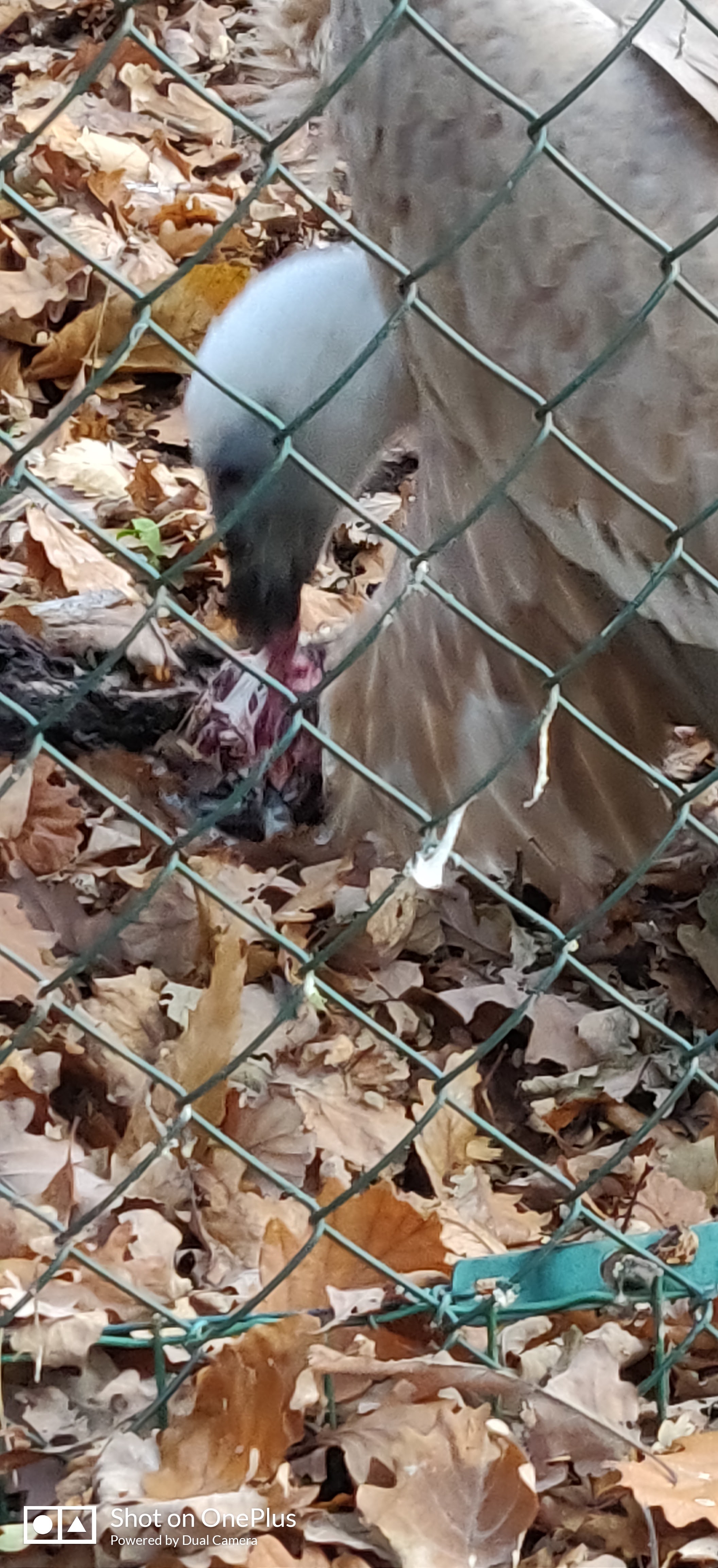 Photo n° 9 de l'avis de Jean-marc.e fait le 01/11/2022 à 19:36