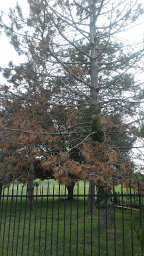 Golf Course «Willowbend Golf Club», reviews and photos, 8001 E Mulberry Dr, Wichita, KS 67226, USA