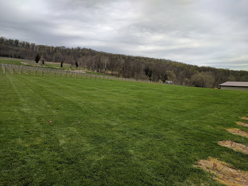 Winery «Alba Vineyard», reviews and photos, 269 Riegelsville Warren Glen Rd, Milford, NJ 08848, USA