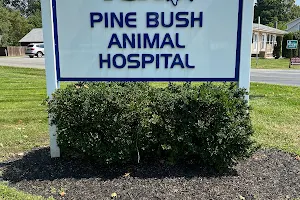 VCA Pine Bush Animal Hospital image