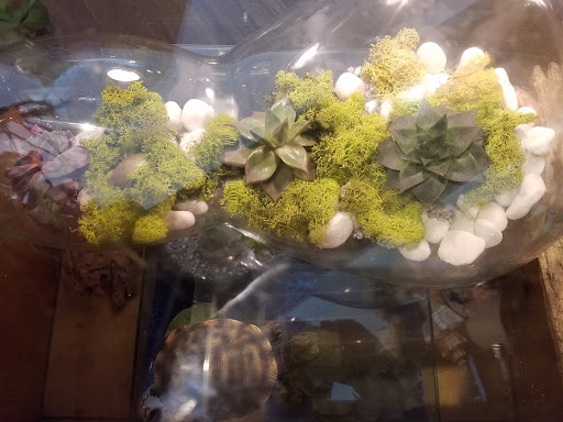 Florist «Scarsdale Flower Boutique», reviews and photos, 7 Harwood Ct, Scarsdale, NY 10583, USA