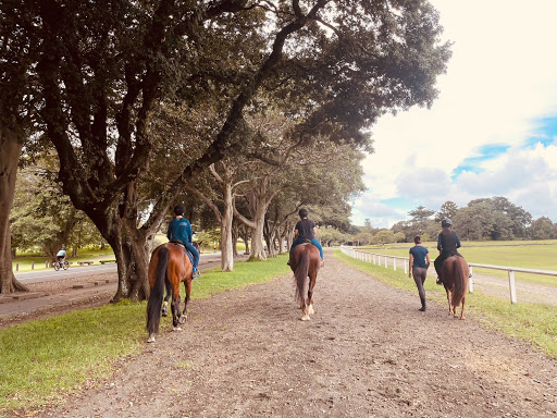 Eastside Horse Riding Academy Sydney