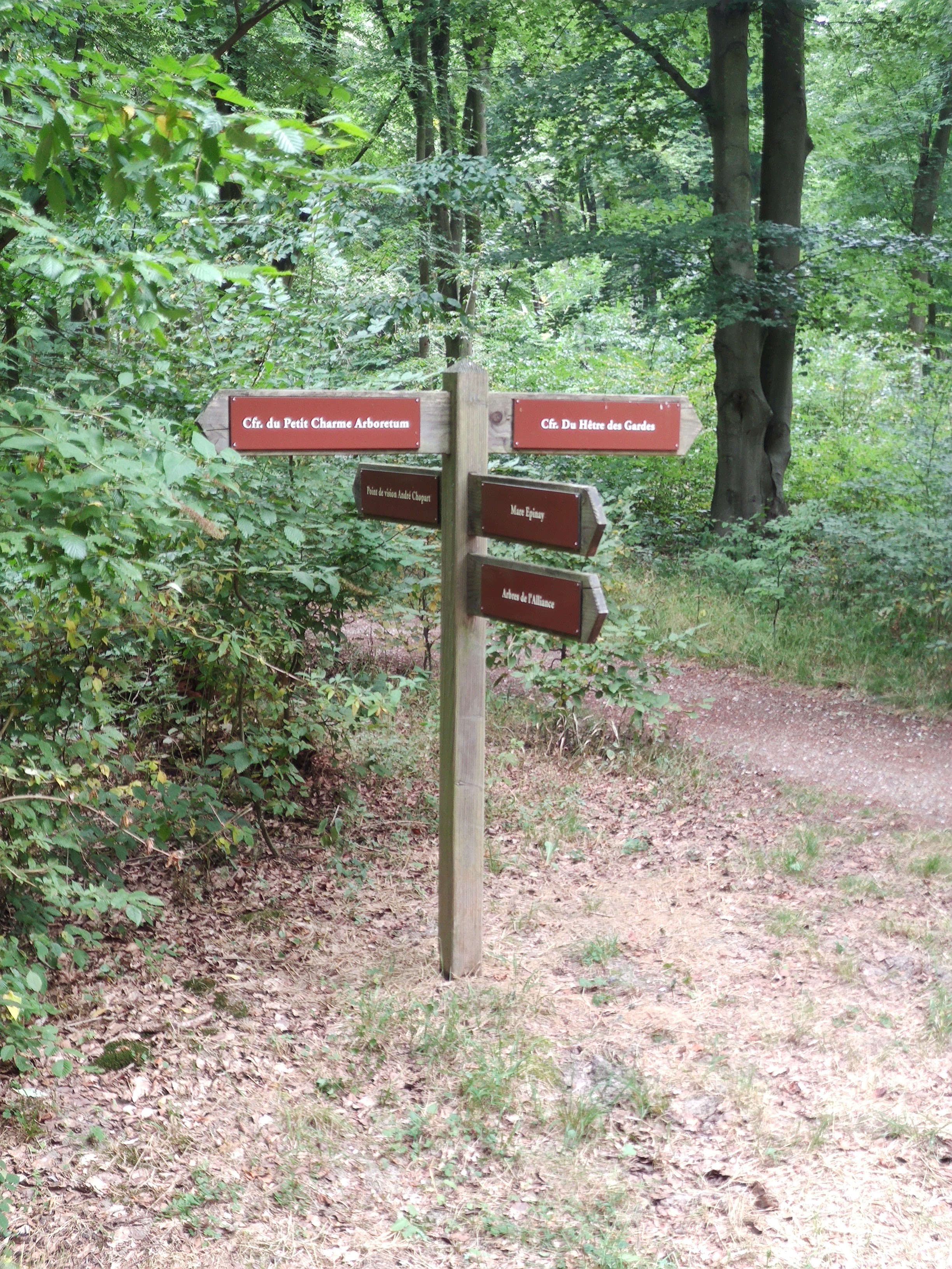 Photo n° 6 de l'avis de LAMBERT.r fait le 16/08/2022 à 19:17