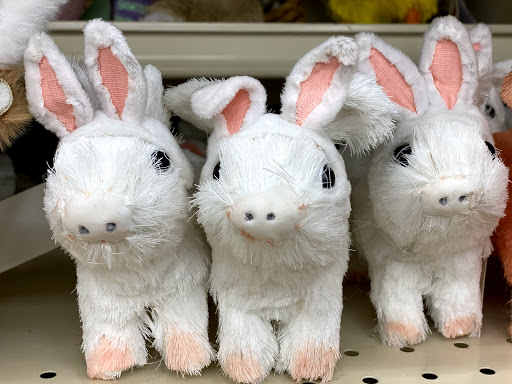 Home Goods Store «Christmas Tree Shops», reviews and photos, 9819 W Broad St, Glen Allen, VA 23060, USA