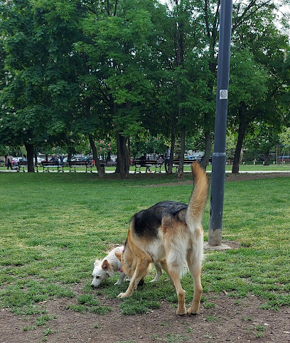 Парк за разходка на кучета