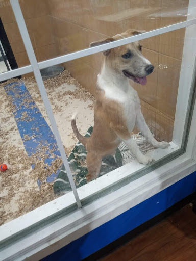 Pet Store «Pets Plus - Lansdale», reviews and photos, 555 S Broad St, Lansdale, PA 19446, USA