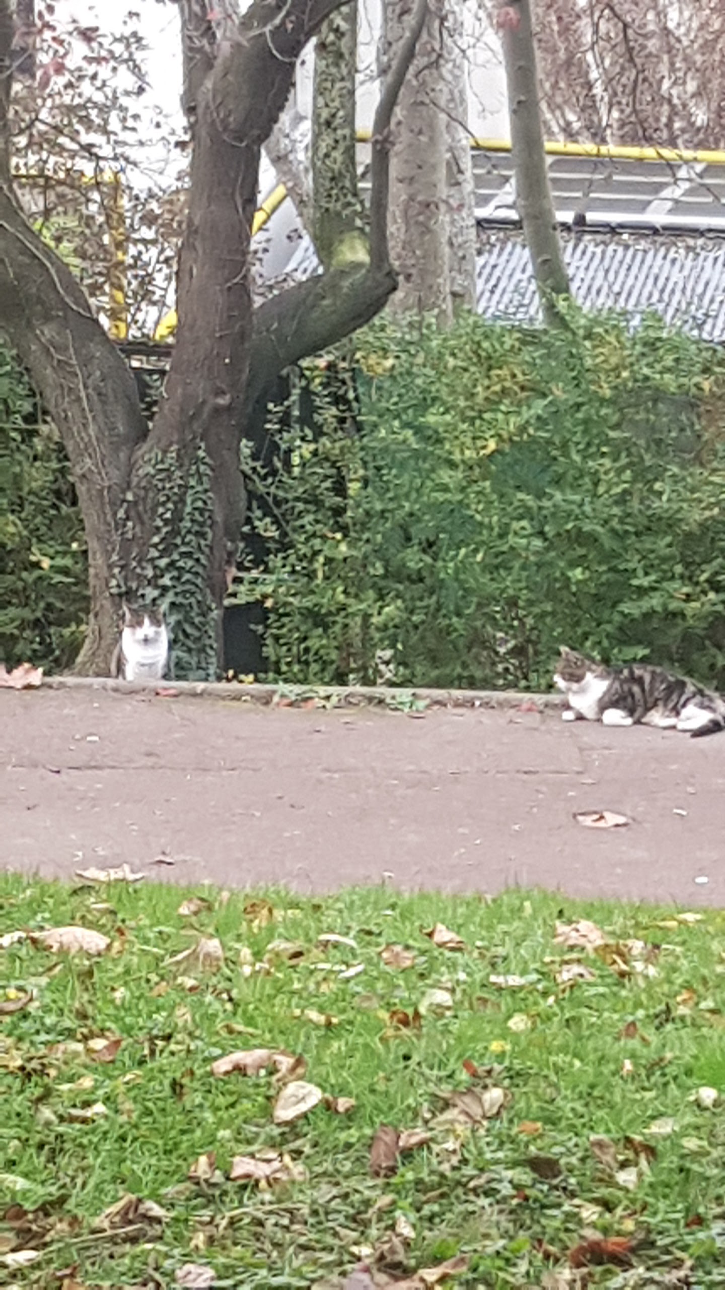 Photo n° 7 de l'avis de Patrice.y fait le 21/01/2021 à 05:58