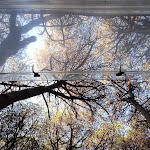 Photo n°12 de l'avis de Peppi.u fait le 10/07/2022 à 07:15 sur le  Camping Nurapolis à Narbolia