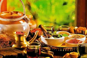 Bliss Ayurvedic health spa udaipur Rajasthan image