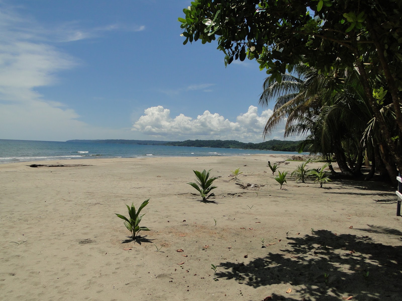 Photo of Belén Beach located in natural area