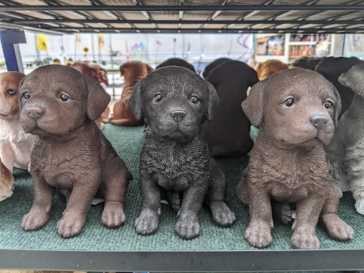 Garden Center «Winnisquam Agway», reviews and photos, 304 Daniel Webster Hwy, Belmont, NH 03220, USA