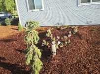 Economic Green Landscaping - Photo 9 - Car repair in Union Gap, WA, Yakima