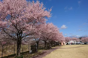 Anayamasakura Park image