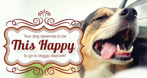 Pet Store «Pet Play House», reviews and photos, 2403 E 4th St, Reno, NV 89512, USA