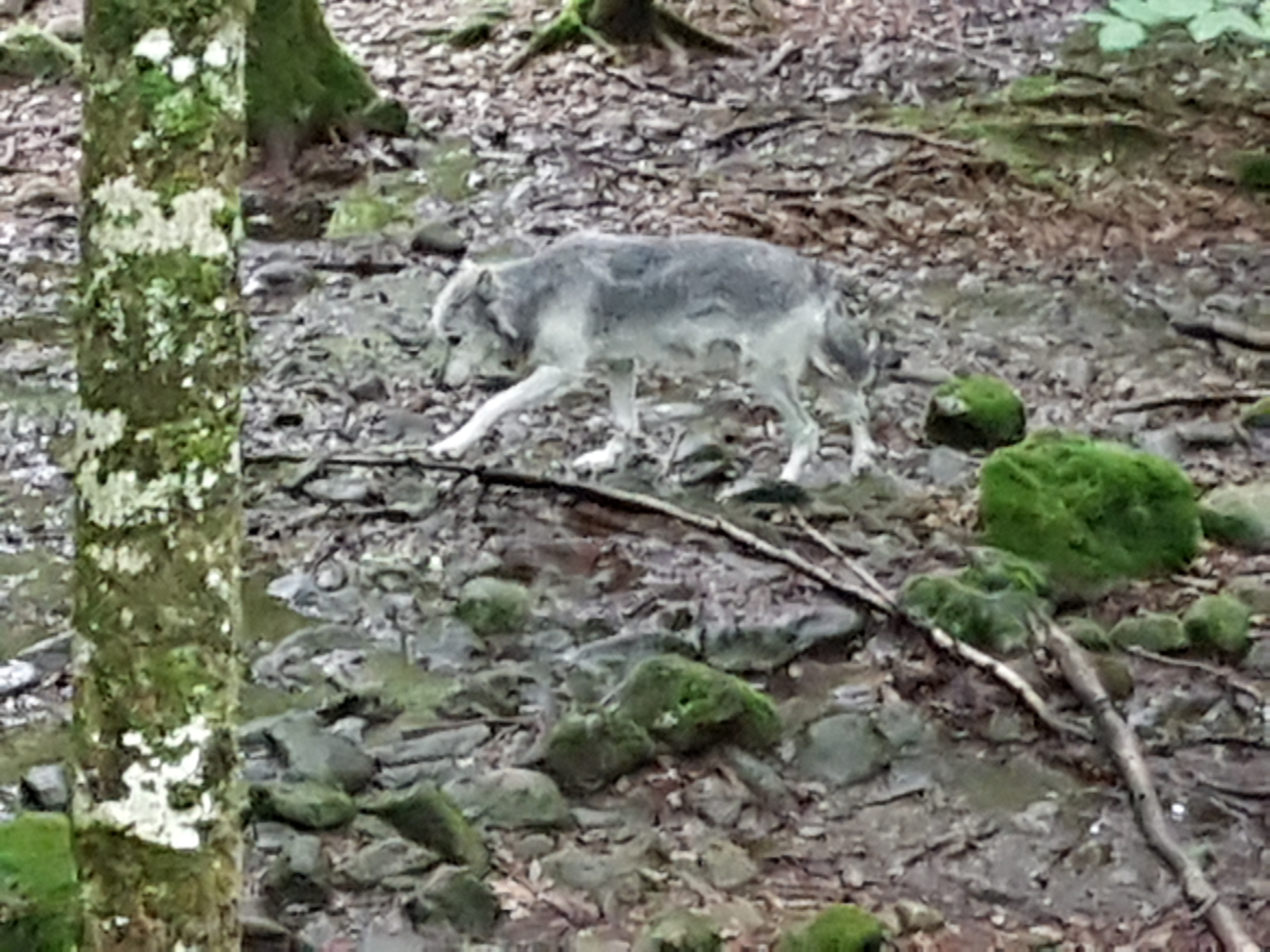 Photo n° 6 de l'avis de Eric.e fait le 12/08/2018 à 14:15
